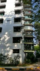 Blk 650 Senja Link (Bukit Panjang), HDB Executive #559289211